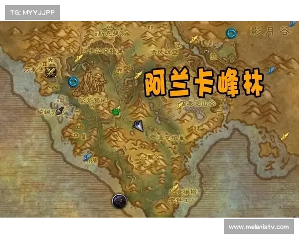 魔兽世界插件：地图复制中心设置指南