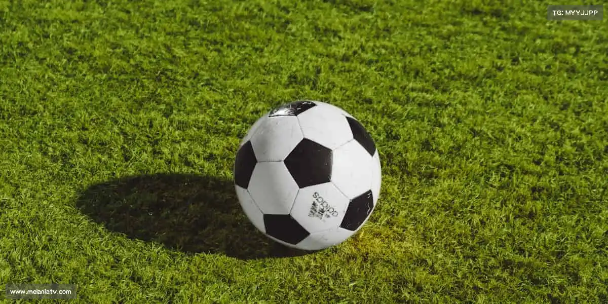 华人策略研究手机版——冰壶智慧!策略与技巧的完美融合🥌